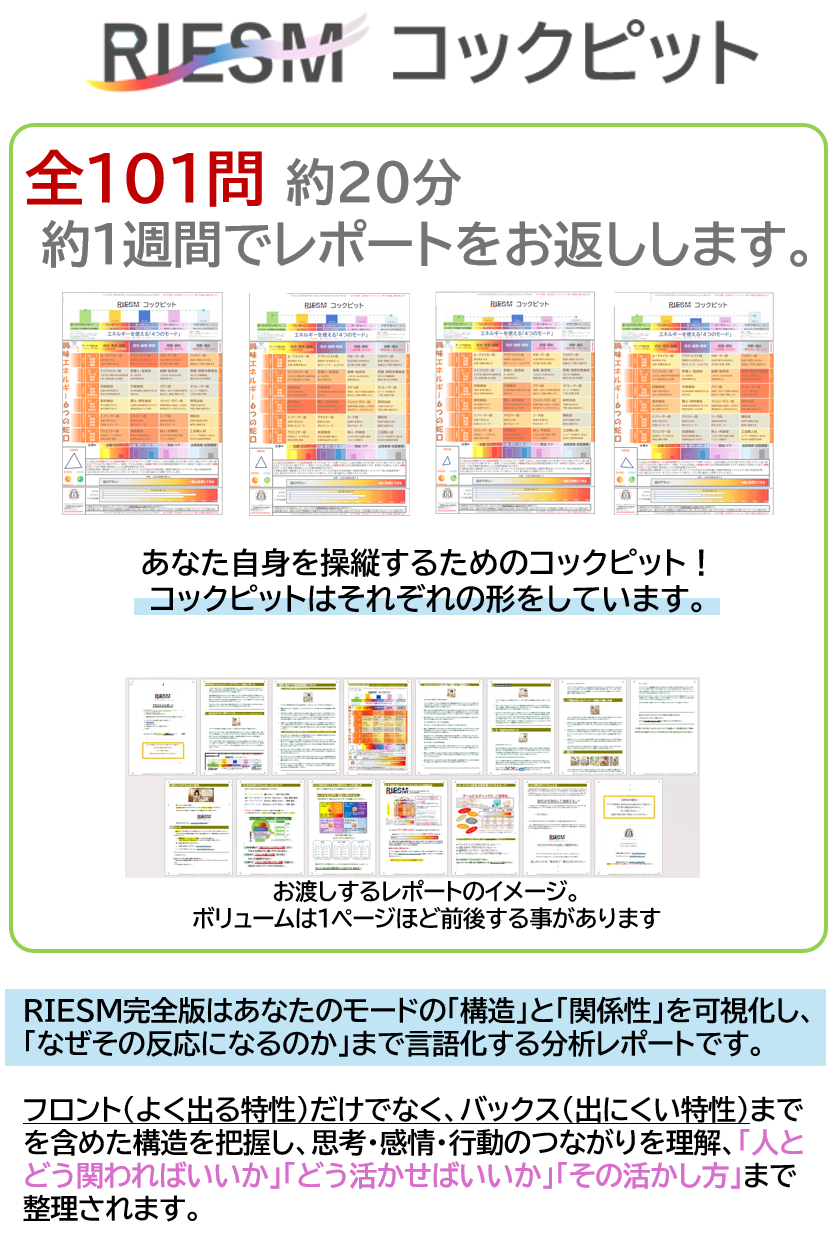 RIESM™ Cockpit - あなたの心のコックピット