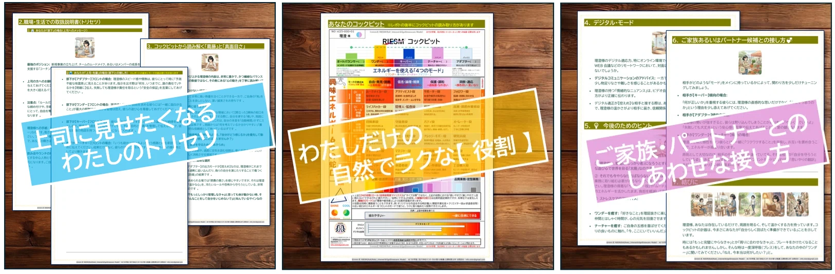 RIESM™レポートの抜粋イメージ